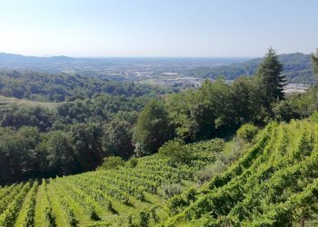 Foto 16 - Farm Sentiero Capietaglio-Belvedere, Palazzago - photo 16