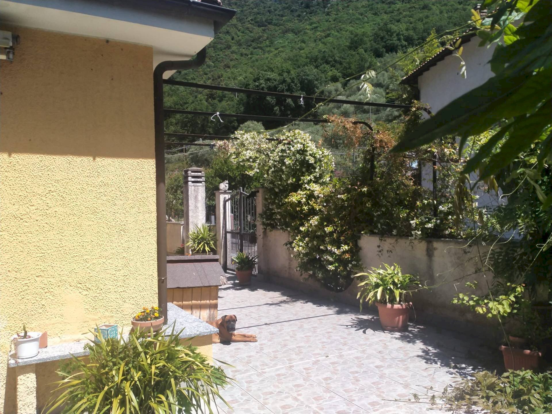 Foto 1 - Three-room apartment Via Aquila, Finale Ligure - photo 1