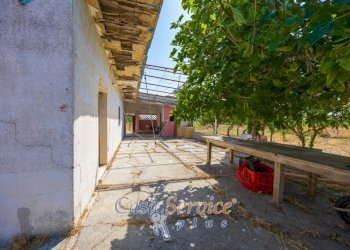 Cortile interno - Villa strada Comunale da Coline a Matino, Matino - foto 2