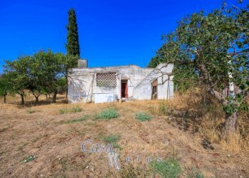 Terreno - Villa strada Comunale da Coline a Matino, Matino - foto 5