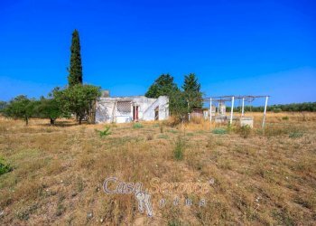 Terreno - Villa strada Comunale da Coline a Matino, Matino - foto 6