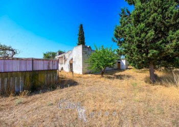 Terreno - Villa strada Comunale da Coline a Matino, Matino - foto 7