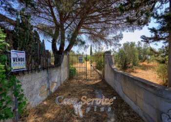 Terreno - Villa strada Comunale da Coline a Matino, Matino - foto 9