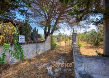 Terreno - Villa strada Comunale da Coline a Matino, Matino - foto 10