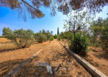Terreno - Villa strada Comunale da Coline a Matino, Matino - foto 11