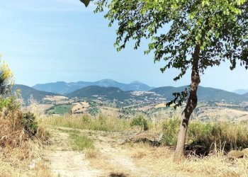 Vista - Villa contrada Gioncare, Poggio San Marcello - foto 11