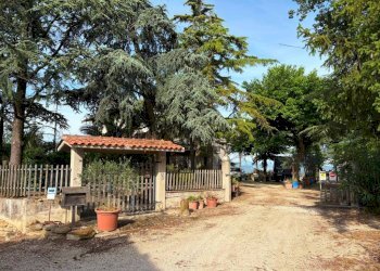 Giardino - Villa contrada Gioncare, Poggio San Marcello - foto 13