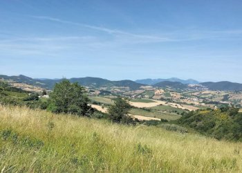Terreno - Villa contrada Gioncare, Poggio San Marcello - foto 14