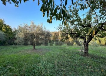 Giardino - Agricultural land VIA CROCE FERAGALLI
1, San Giovanni Teatino - photo 7
