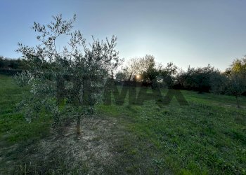 Giardino - Agricultural land VIA CROCE FERAGALLI
1, San Giovanni Teatino - photo 10
