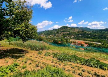 Terreno - Rustico Cortemilia - foto 6