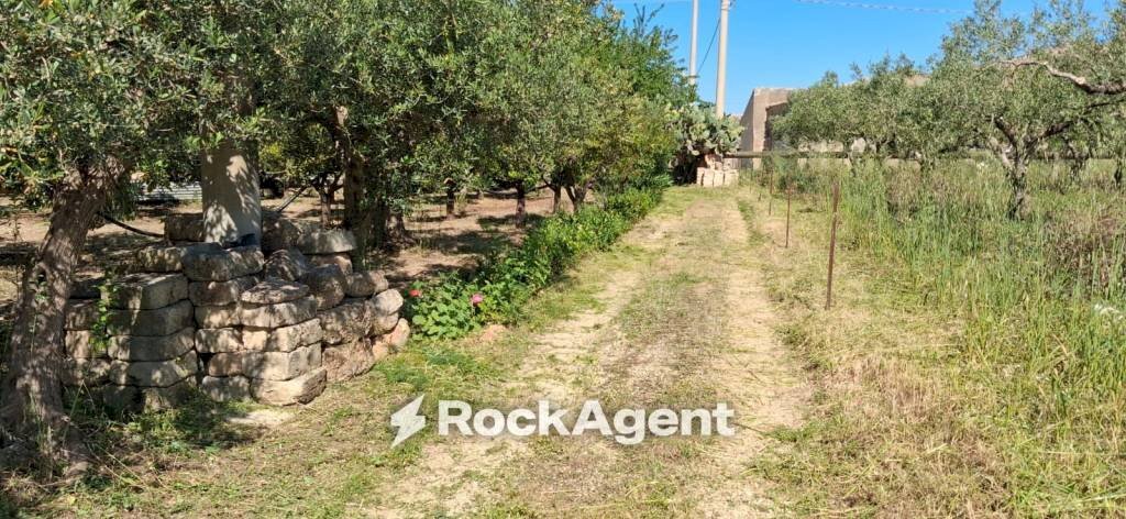 Terreno - Rustic contrada Piana, Sciacca - photo 3