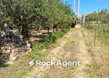 Terreno - Rustic contrada Piana, Sciacca - photo 3
