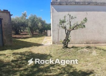 Terreno - Rustic contrada Piana, Sciacca - photo 6