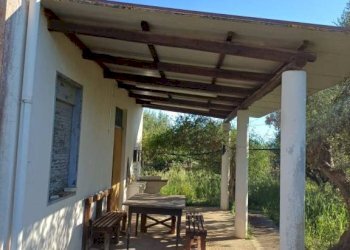 Giardino - Rustic contrada Piana, Sciacca - photo 9