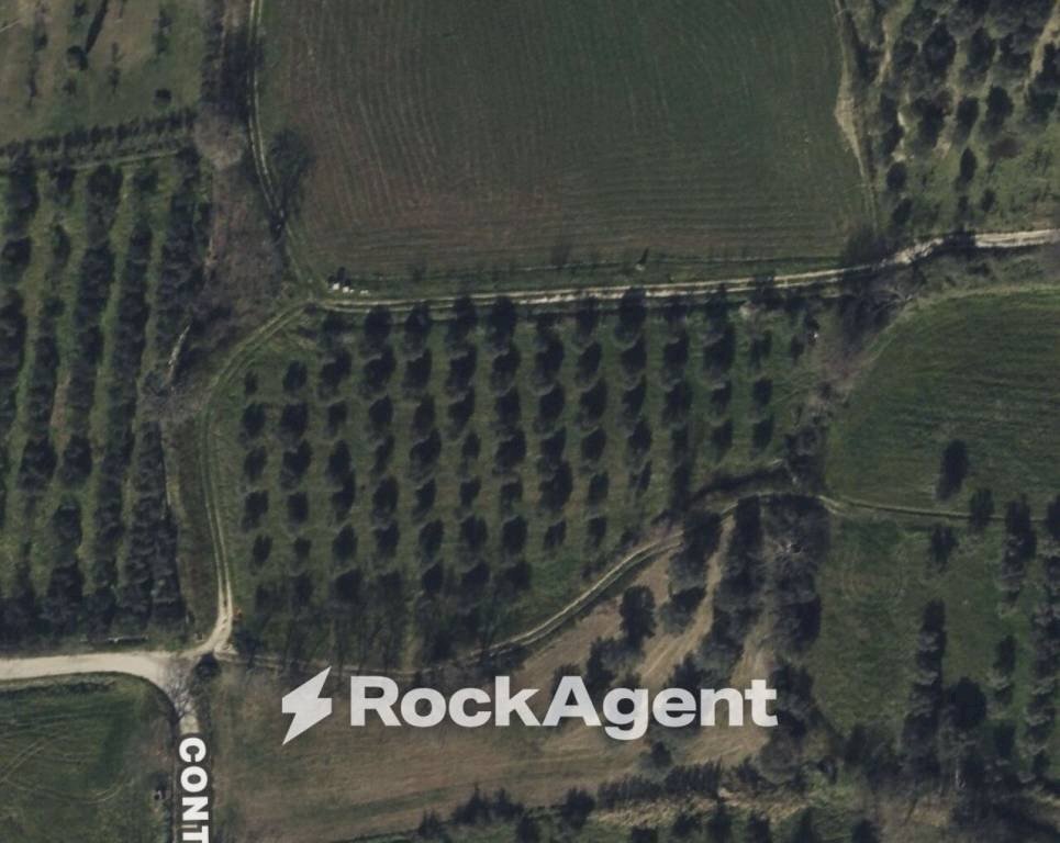 Mappa - Terreno agricolo contrada Santa Lucia, Altavilla Silentina - foto 2