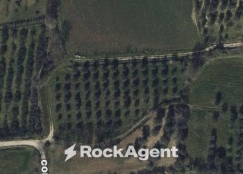 Mappa - Terreno agricolo contrada Santa Lucia, Altavilla Silentina - foto 2