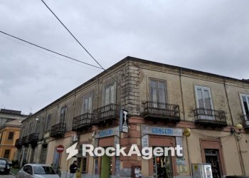 Zona - Stable - Palace via Roma, 4, Cittanova - photo 2