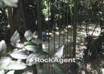 Terreno - Trilocale via San Lanfranco Beccari, 62, Pavia - foto 22