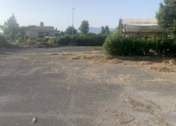 Terreno - Other via Amedeo Molinara, Altavilla Silentina - photo 40