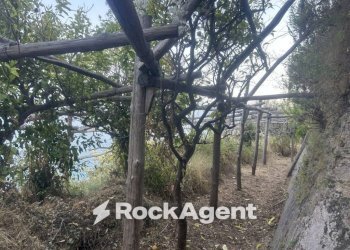 Terreno - Terreno agricolo largo Civita, 10, Ravello - foto 16