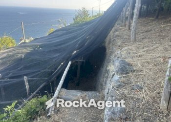 Terreno - Terreno agricolo largo Civita, 10, Ravello - foto 20