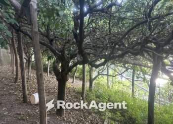 Terreno - Terreno agricolo largo Civita, 10, Ravello - foto 22