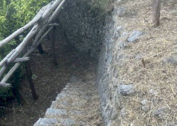 Terreno - Terreno agricolo largo Civita, 10, Ravello - foto 30