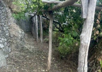 Terreno - Terreno agricolo largo Civita, 10, Ravello - foto 32