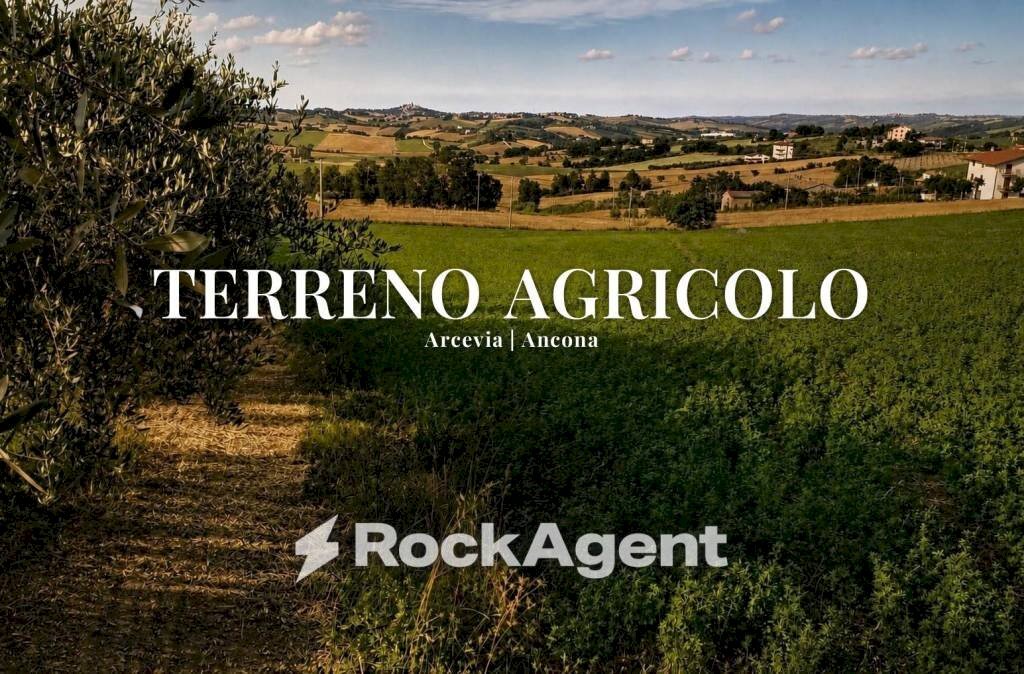 Terreno - Agricultural land Frazione Montale, 136, Arcevia - photo 1