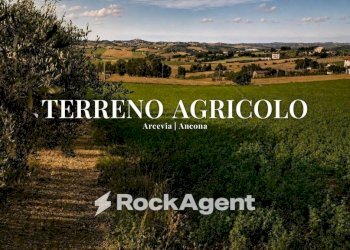 Terreno - Agricultural land Frazione Montale, 136, Arcevia - photo 1