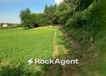 Terreno - Agricultural land Frazione Montale, 136, Arcevia - photo 16