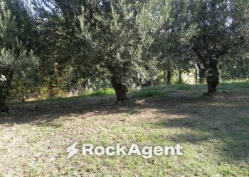 Terreno - Rustic Frazione Montale, 136, Arcevia - photo 28