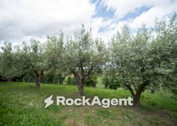 Terreno - Rustic Frazione Montale, 136, Arcevia - photo 30