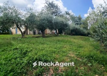 Terreno - Rustic Frazione Montale, 136, Arcevia - photo 32