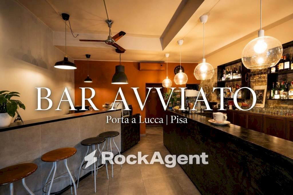 Interno non residenziale - Cafeteria - Cold Bar via Lucchese, 31, Pisa - photo 1