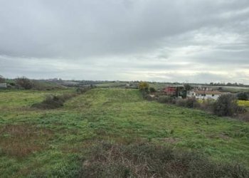 Terreno - Villa via del Tronco, Aprilia - foto 10