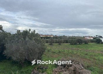 Terreno - Villa via del Tronco, Aprilia - foto 12