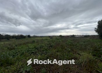 Terreno - Villa via del Tronco, Aprilia - foto 15