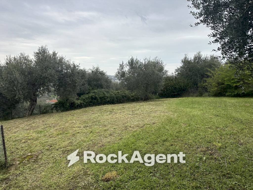Terreno - Villa contrada Montupoli Foro, Miglianico - foto 2