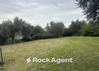 Terreno - Villa contrada Montupoli Foro, Miglianico - foto 2