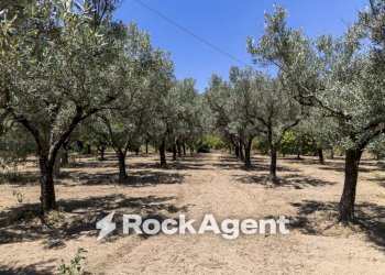 Terreno - Villa Località Zilleria, Montepaone - foto 38