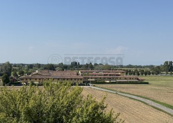 IMG_7445 - Four-room apartment Crema - photo 22