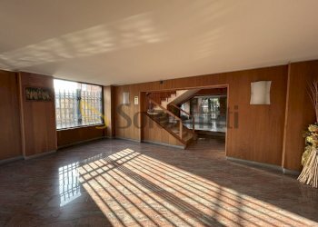 ANDRONE 1 - Appartamento Via Gottardo 245, Torino (zona Regio Parco) - foto 3