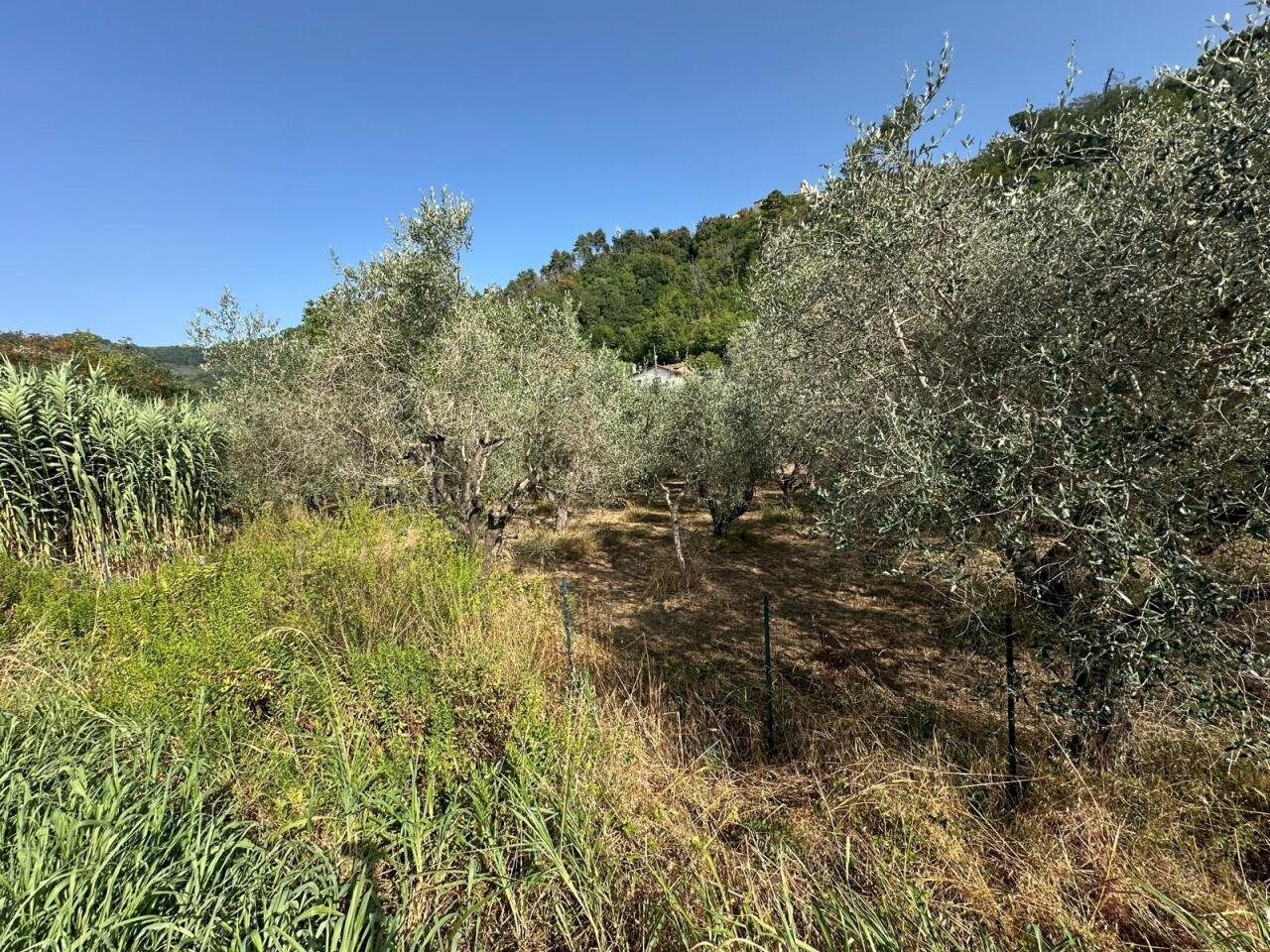 lu2 - Building land Luni - photo 2