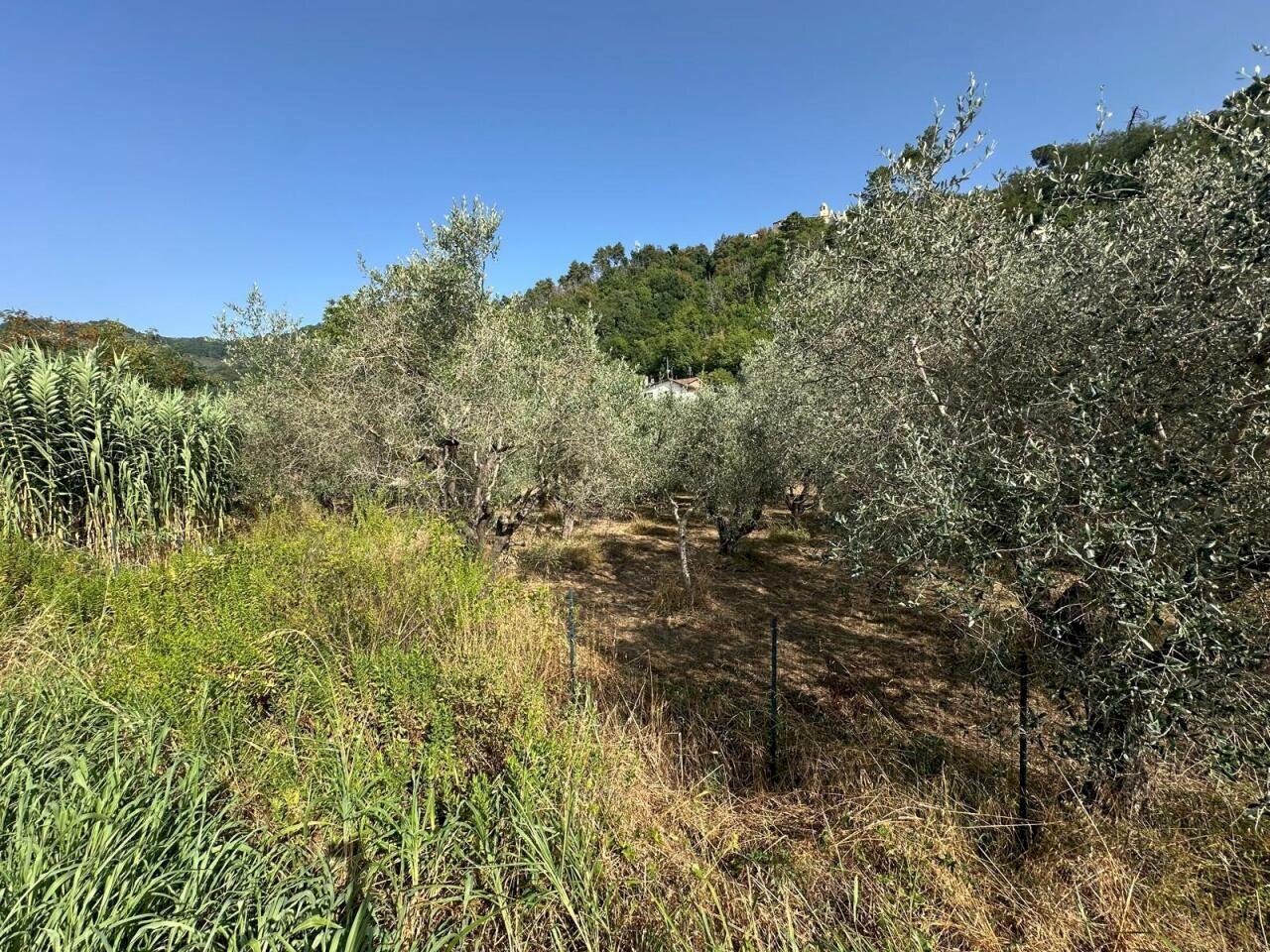 lu3 - Building land Luni - photo 3