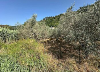 lu2 - Building land Luni - photo 2