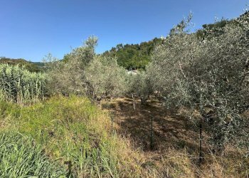 lu3 - Building land Luni - photo 3