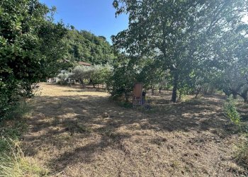 lu5 - Building land Luni - photo 5