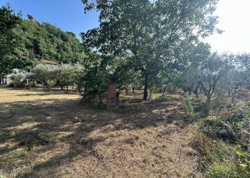 lu6 - Building land Luni - photo 6